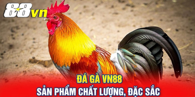 An Toàn Và Bảo Mật Tại Casino Online 88VN